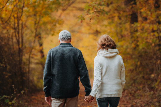 Elderly couple walking hand in hand through autumn forest