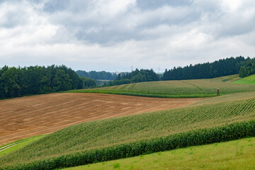 Surrounded by fields, forests, and cloudy skies, the rural landscape offers a peaceful scene where...