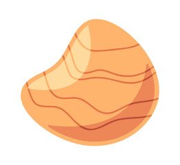 Underwater mussels marine sea shell