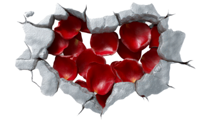 Cracked Wall with Rose Petals in Heart Shape Design Isolate on Transparent Background, cutout, png