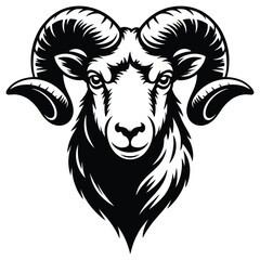 vector illustration of a sheep