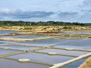 famous sea salt marshes of Guerande in Brittany, France, taken from above, drone photo