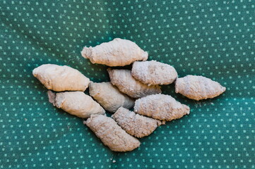 Mud dauber wasp clay chamber with pupae – invasive insect in the Czech Republic (Sceliphron...