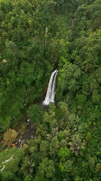 Soaring vertical drone view reveals Gitgit Waterfall&rsquo;s stunning drop in Bali&rsquo;s tropical rainforest, with vibrant greenery, a flowing river, and giant rocks adding drama to the jungle scene.