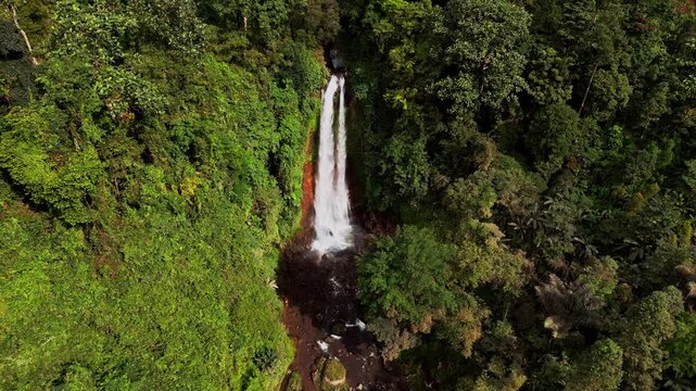 Drone footage captures Gitgit Waterfall in Bali on a sunny day, surrounded by lush tropical greenery. The cascading water flows through dense jungle, creating a serene and refreshing natural escape.