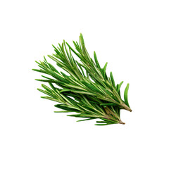 Fototapeta premium Fresh Rosemary Sprigs Isolated on Black Background