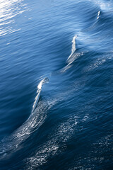 Ripples in ocean water
