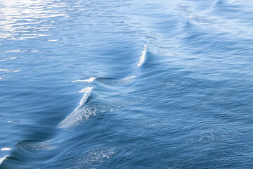 Ripples in ocean water