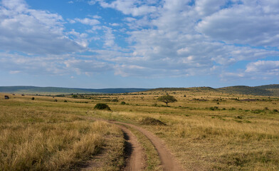Dirt Road Through the Golden Plains of Maasai Mara