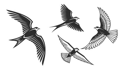 Obraz premium A set of flying birds, including an eagle and swallow, a black and white vector illustration in a vintage engraving or woodcut style.