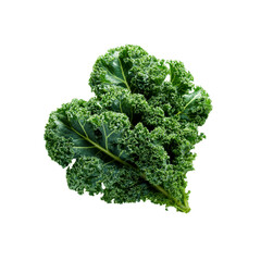 Fresh Green Kale Leaf Isolated on Black Background