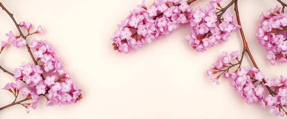 Fototapeta premium Pastel lilac branches artfully arranged on a matching background, creating a spring-themed flat lay , elegant, design