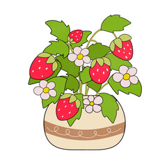 strawberry in the pot