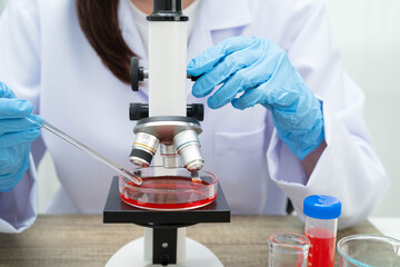 Scientist medical professional use microscope for research in science laboratory.