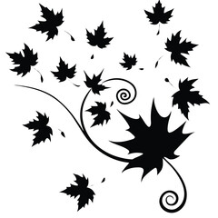 Fototapeta premium Black silhouette of falling maple leaves with swirling vine