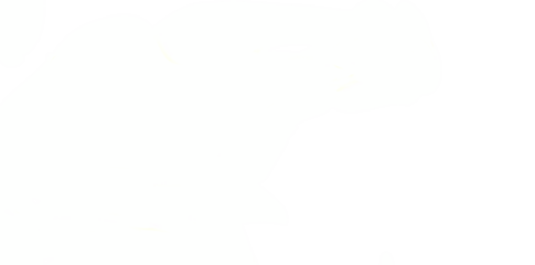 Clean, minimalist white background ideal for websites, presentations, and design projects. Features soft light leaks for a touch of texture.