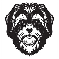 Capturing the Playful and Affectionate Nature of a Shih Tzu Dog, an Adorable Companion Enjoying its Cozy Home