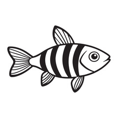 A Dynamic School of Zebra Danio Fish in Motion, Creating a Lively Pattern of Black and White Stripes in an Aquatic Environment