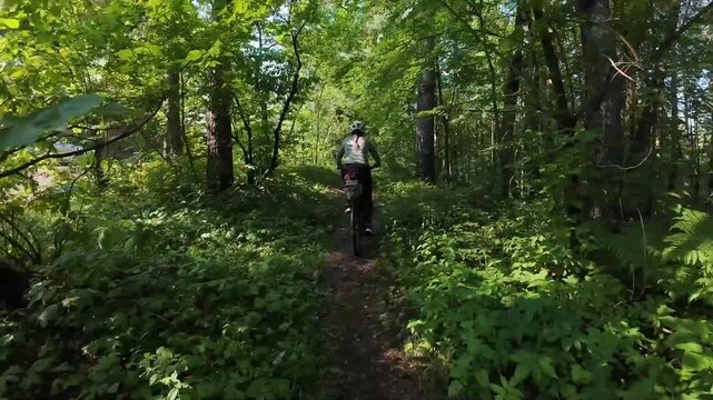 female cyclist rides through the forest in summer, timelapse