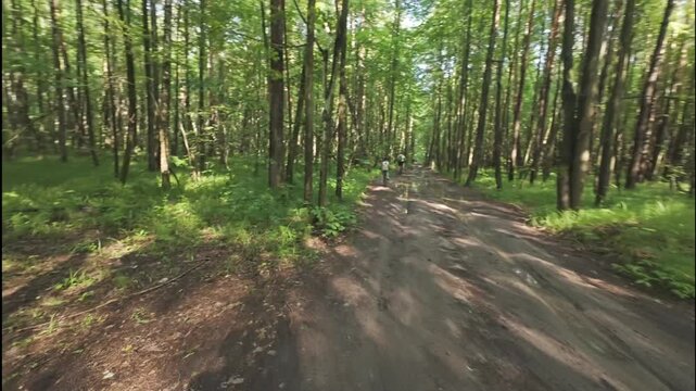 cycling through the forest in summer