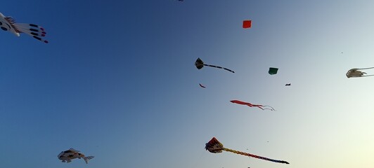birds in the sky