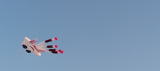 helicopter in flight