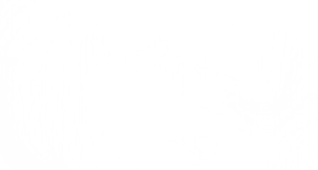 Clean, minimalist white background texture. Perfect for websites, presentations, and more!