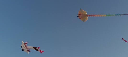 kite in the sky