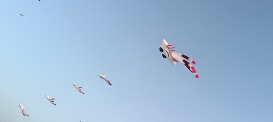 american flag flying