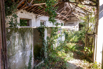 Urbex - intérieur d'un ancien bâtiment détruit et envahi par la végétation