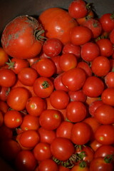 Ripe Cherry Tomatoes