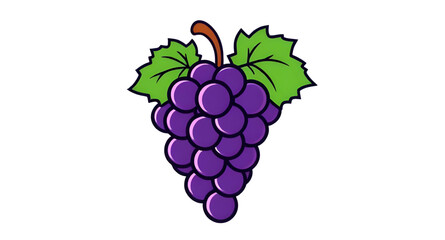 grapes branch, grapes silhouette, grapes hand drawn, grapes cartoon, grapes sketch, grapes art, grapes flat design, grapes berry, grapes collection, grapes healthy fruit, grapes editable vector, grape