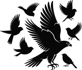 Obraz premium Set of 7 bird silhouettes vector — dynamic composition featuring large bird of prey with talons and smaller birds in varied flight and perched poses