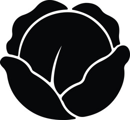 Illustrator Cabbage vegetable minimal close up silhouette vector