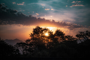 Vibrant Sunset Sky with Tree Silhouettes in Brazil
