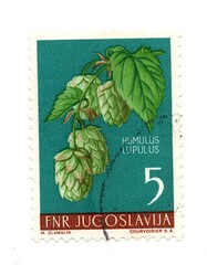 A vintage postage stamp from Yugoslavia isolated on a white background.