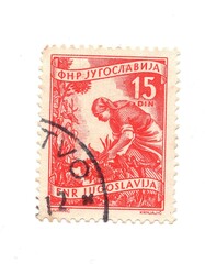 A vintage postage stamp from Yugoslavia isolated on a white background.