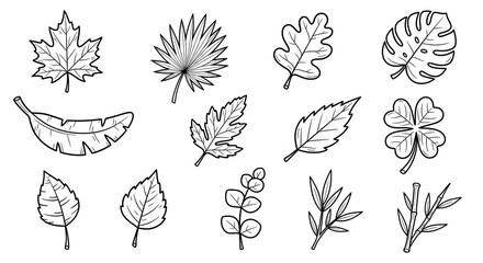 Leaf Variety: A botanical illustration showcases a selection of different leaf shapes, meticulously sketched in monochromatic detail, creating a captivating study of natural diversity.