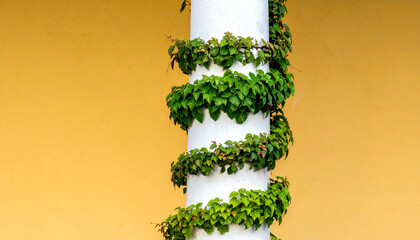 Spiral green vine wrapped around white column against yellow wall. Abstract design.