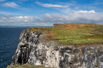 View over the isle of May in Scotland. The isle of May is a small island in the Firth of Forth. It...