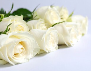Obraz premium Bouquet of pristine white roses