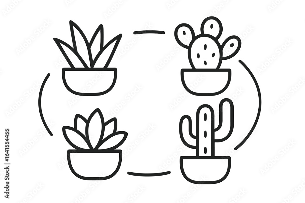 Poster plants arranged in planters with geometric patterns featuring succulents and cacti in a minimalist s