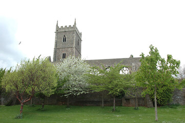 A view of a church with trees and a bird flying in the sky.