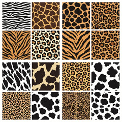 A collection of seamless animal print patterns including zebra stripes, giraffe spots, leopard rosettes, cheetah spots, tiger stripes, cow spots, and abstract spots © meeblues
