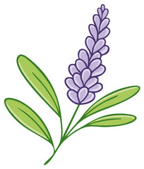 Obraz premium Stylized Lavender Flower with Green Leaves, Simple Floral Illustration
