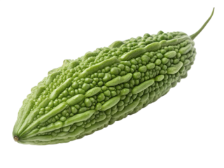 Fresh green bitter melon gourd isolated on transparent background