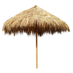 Thatched umbrella isolated on transparent background