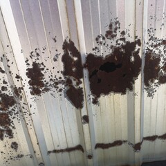 The rusted steel wall is caused with water and zinc roofing background.
The surface becomes rusty because it is used for a long time and air and empty space for text.