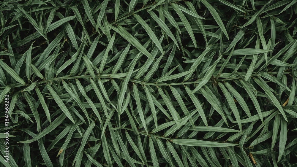 Aufkleber macro shot of fragrant pandan foliage highlighting its unique leaf structure and natural design