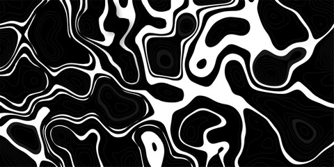 Abstract design with black and white abstract papercut and multi-layer cutout geometric pattern on vector Topographic canyon geometric map relief texture with curved layers beautiful design.	
